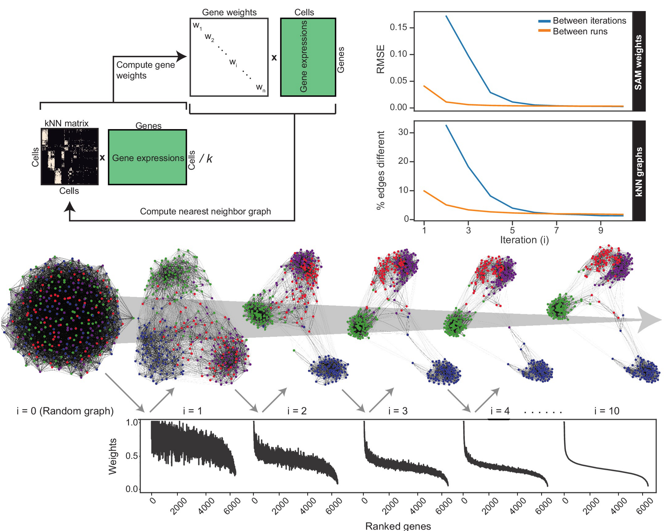 Self-Assembling Manifolds for Single-Cell Analysis